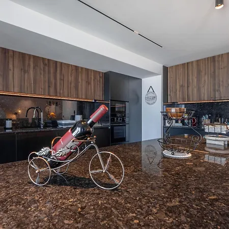 公寓 Oceanview Penthouse In