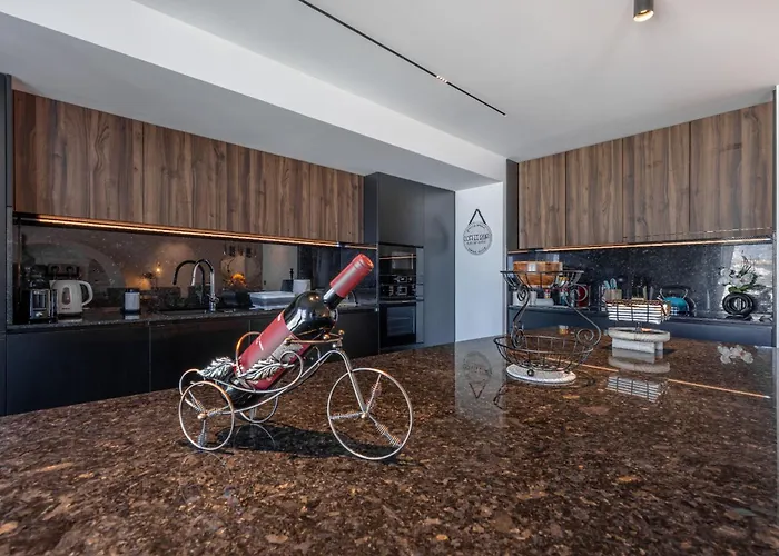 公寓 Oceanview Penthouse In